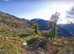 oak-village-12
