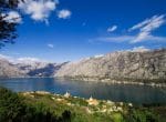 kotor-wood-land-2