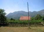 thumb_d-selo-23_1024